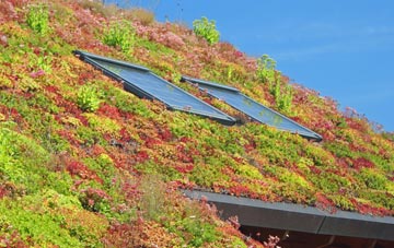 Cefn Ddwysarn living roof systems