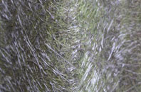 Cefn Ddwysarn fibreglass roof work